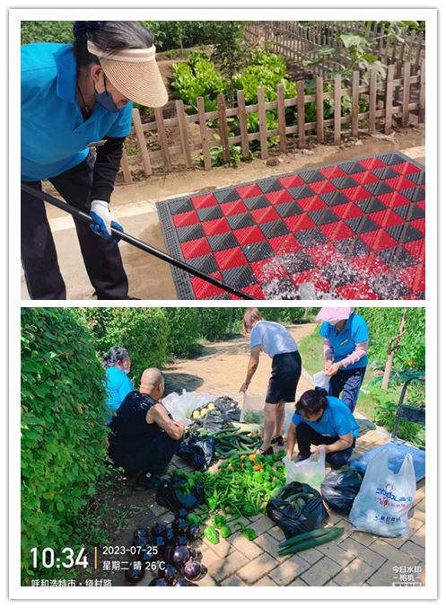 &#33521;&#30343;&#20307;&#32946;&#40;&#20013;&#22269;&#41;&#20307;&#32946;&#23448;&#26041;&#32593;&#31449;