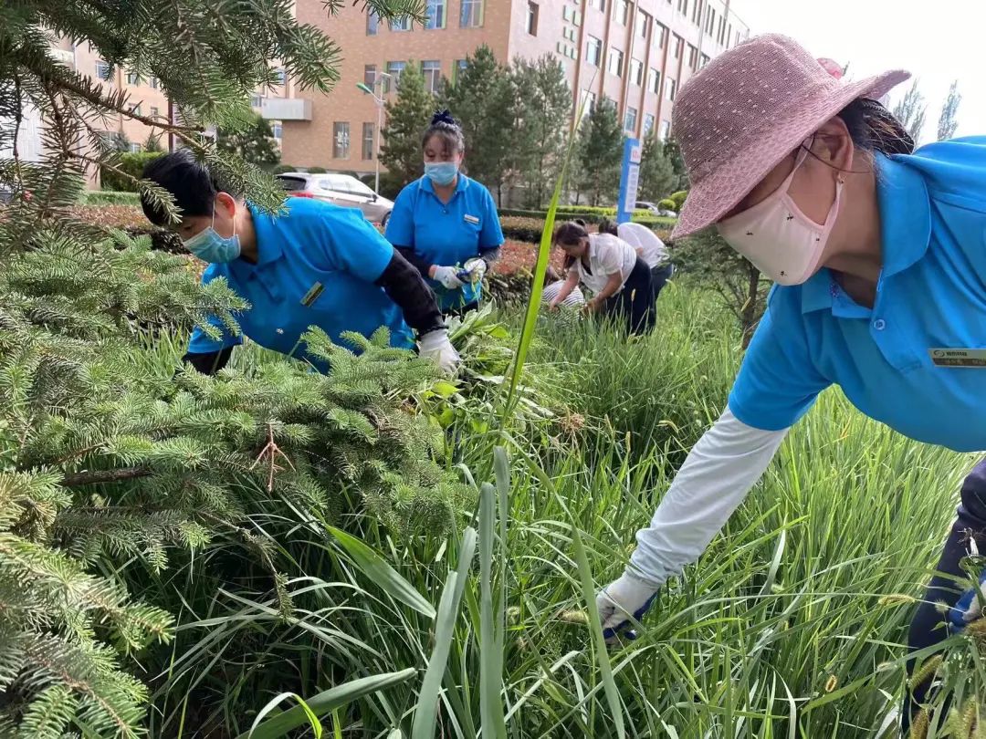 &#33521;&#30343;&#20307;&#32946;&#40;&#20013;&#22269;&#41;&#20307;&#32946;&#23448;&#26041;&#32593;&#31449;