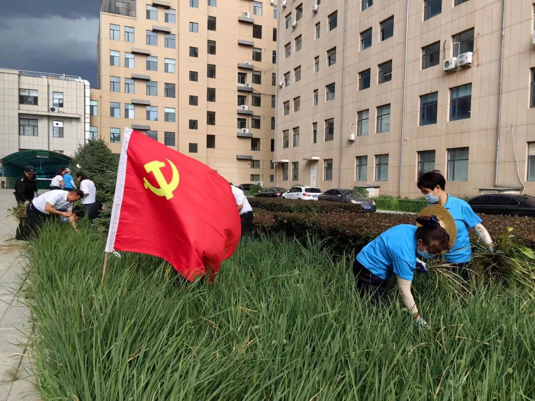 &#33521;&#30343;&#20307;&#32946;&#40;&#20013;&#22269;&#41;&#20307;&#32946;&#23448;&#26041;&#32593;&#31449;