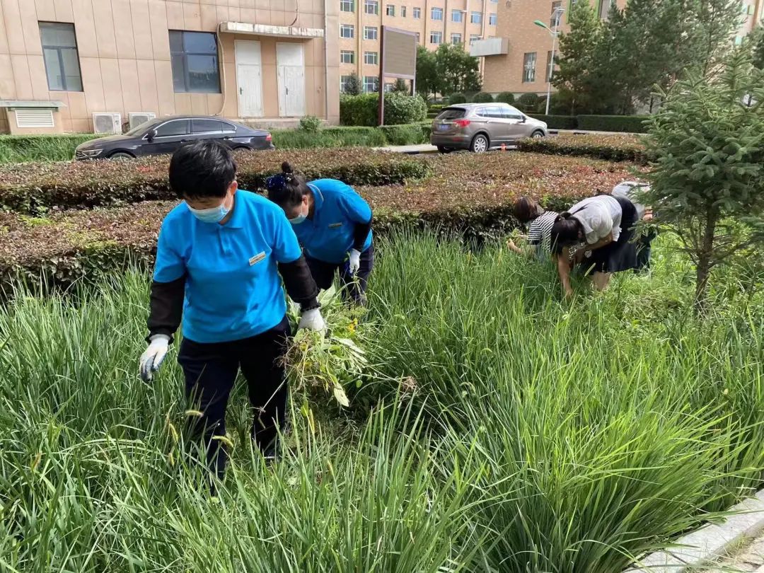 &#33521;&#30343;&#20307;&#32946;&#40;&#20013;&#22269;&#41;&#20307;&#32946;&#23448;&#26041;&#32593;&#31449;